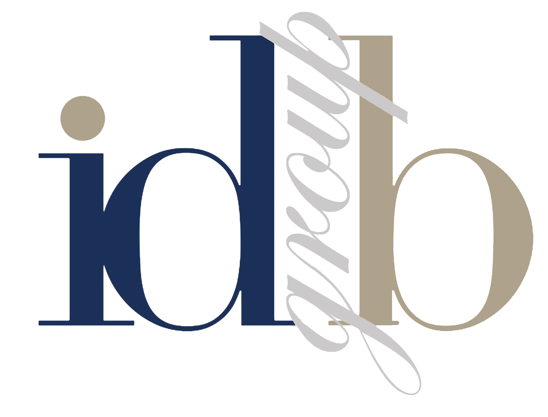 idbgroup_colore